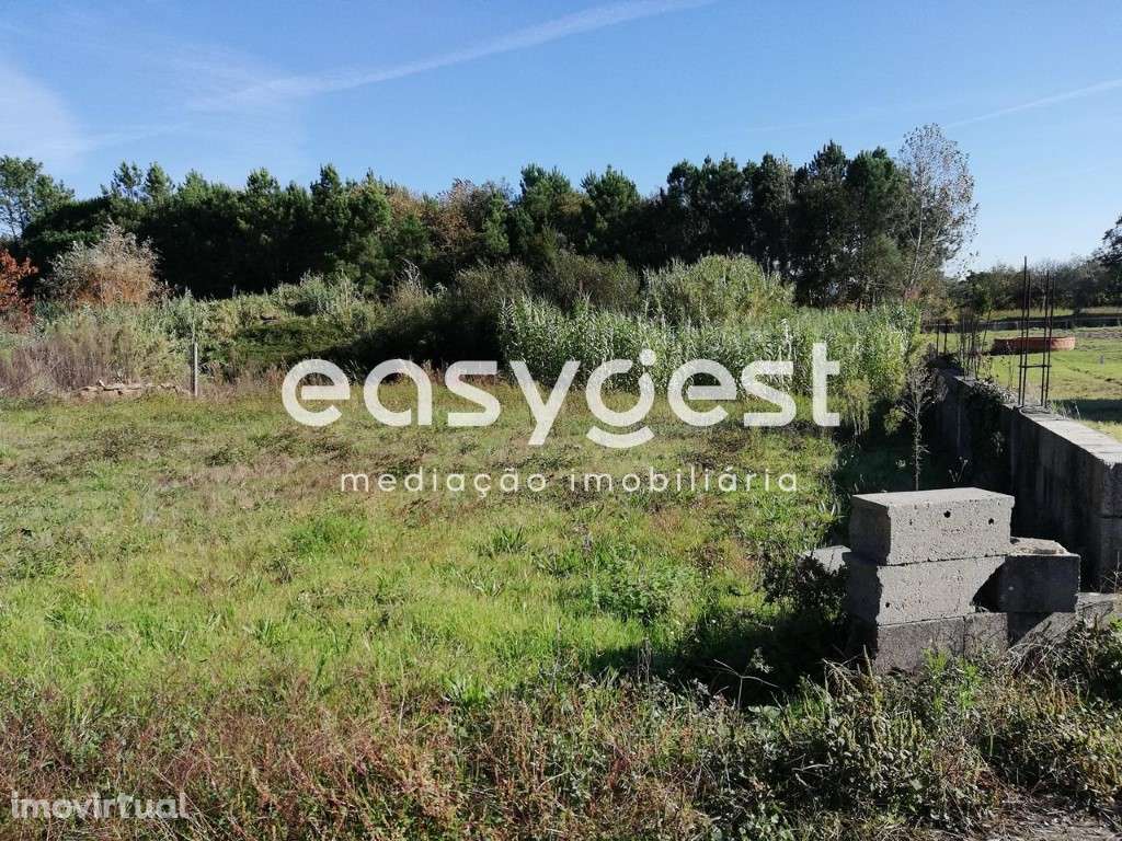 Terreno em Bustos (Oliveira do Bairro) - Grande imagem: 4/9