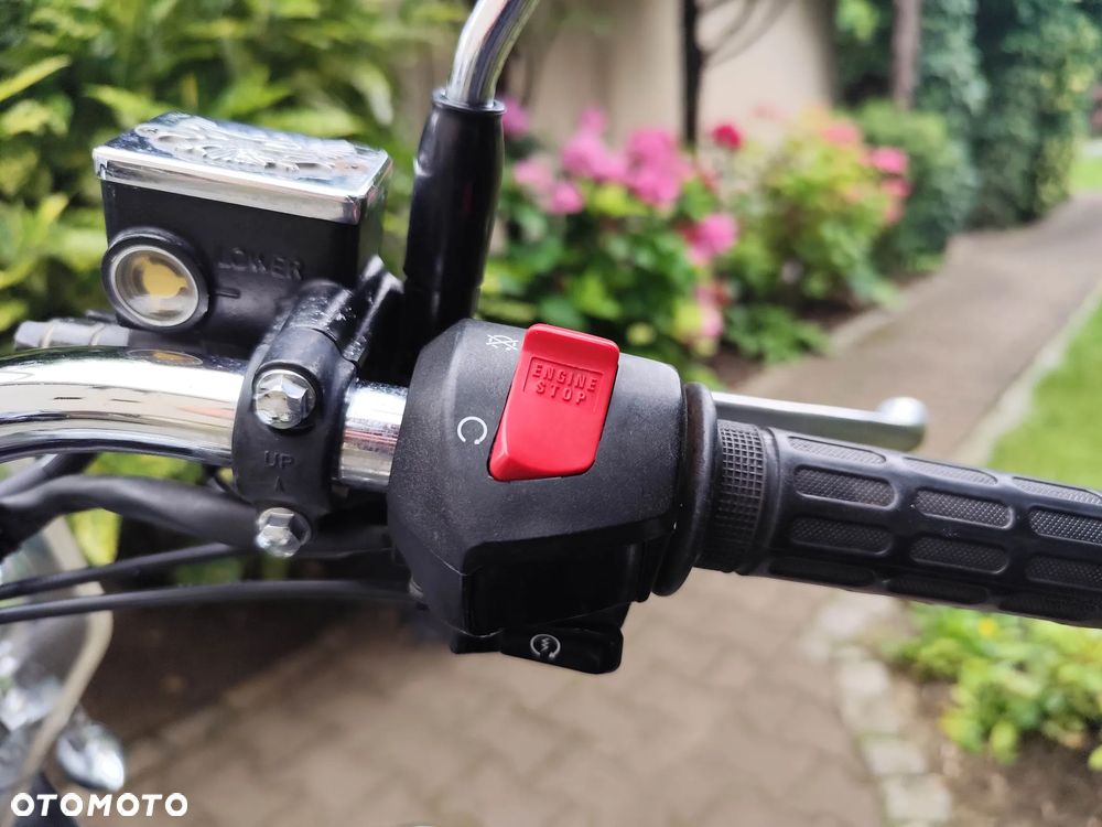 Honda Shadow - 22