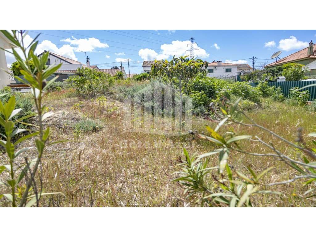 TERRENO QUINTA CONDE - Grande imagem: 3/15
