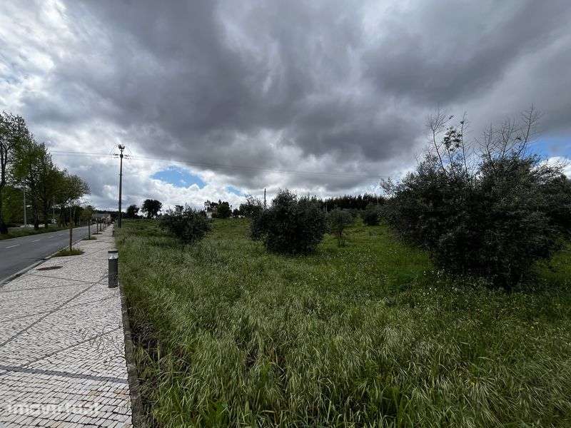 Lotes de Terreno para construção - Grande imagem: 3/12