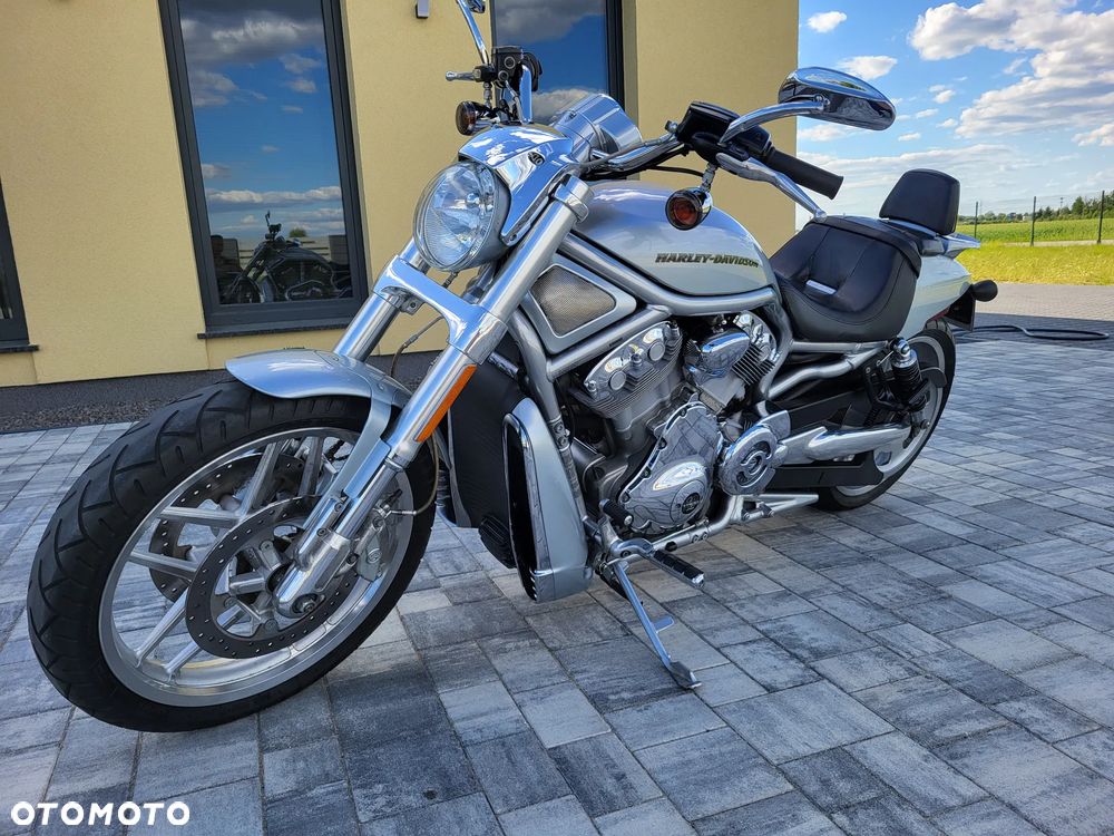 Harley-Davidson V-Rod Street Rod - 3