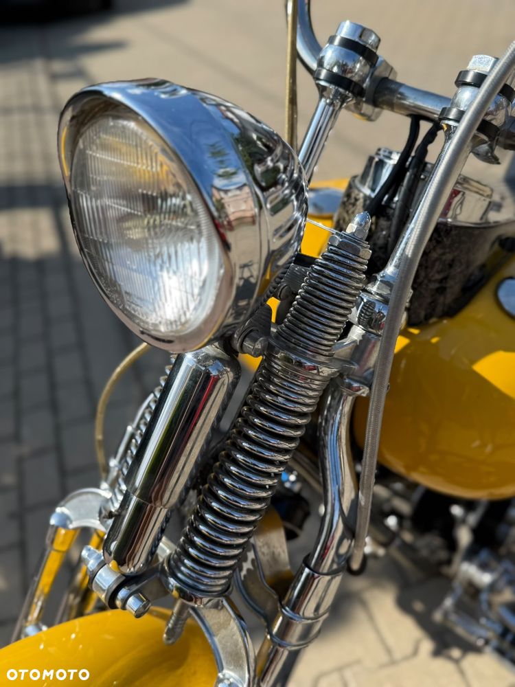 Harley-Davidson Softail Custom - 19