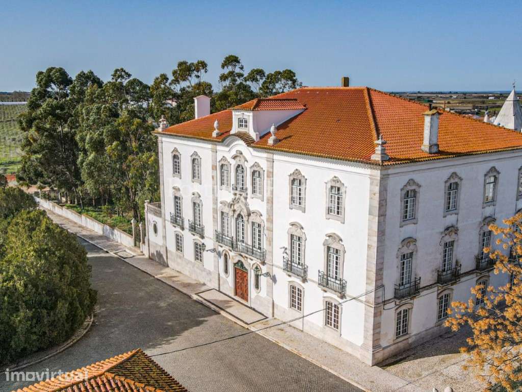 Quinta com cerca de 11 ha com magnífico Palácio - Grande imagem: 2/60