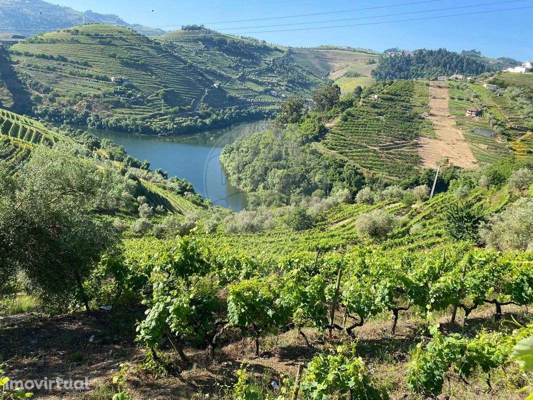 Terreno  para venda - Grande imagem: 3/4