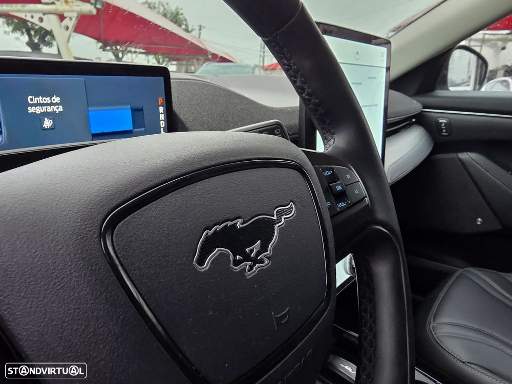 Ford Mustang Mach-E Standard - 23