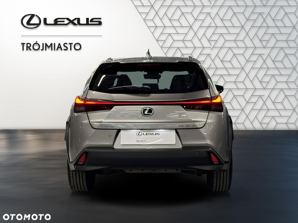 Lexus UX 250h GPF Business 2WD - 5