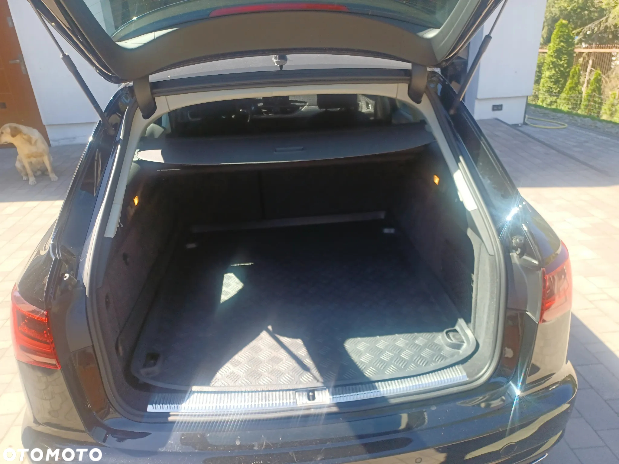 Audi A6 - 12
