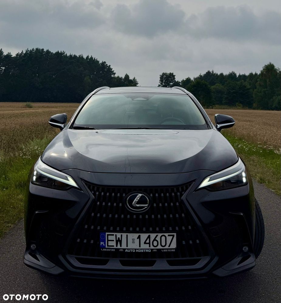 Lexus NX 300 - 8