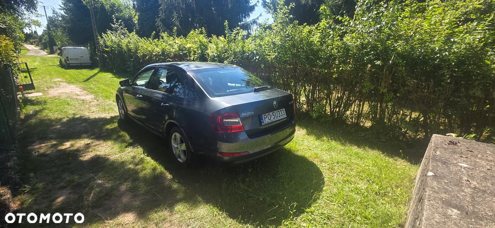 Skoda Octavia - 8