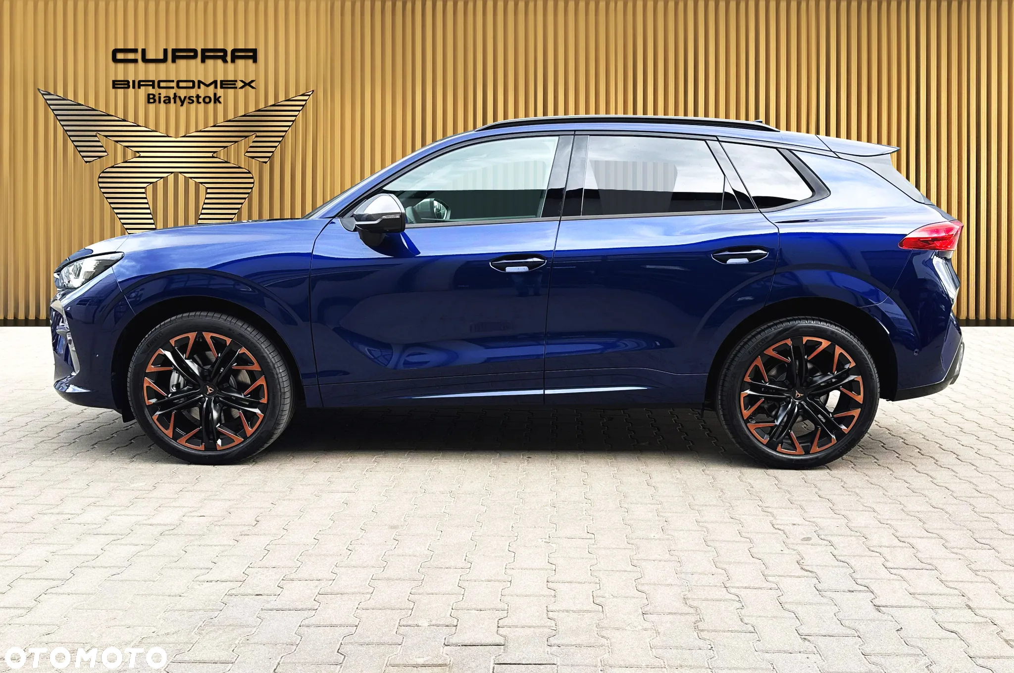 Cupra Terramar 2.0 TSI 4Drive DSG - 3