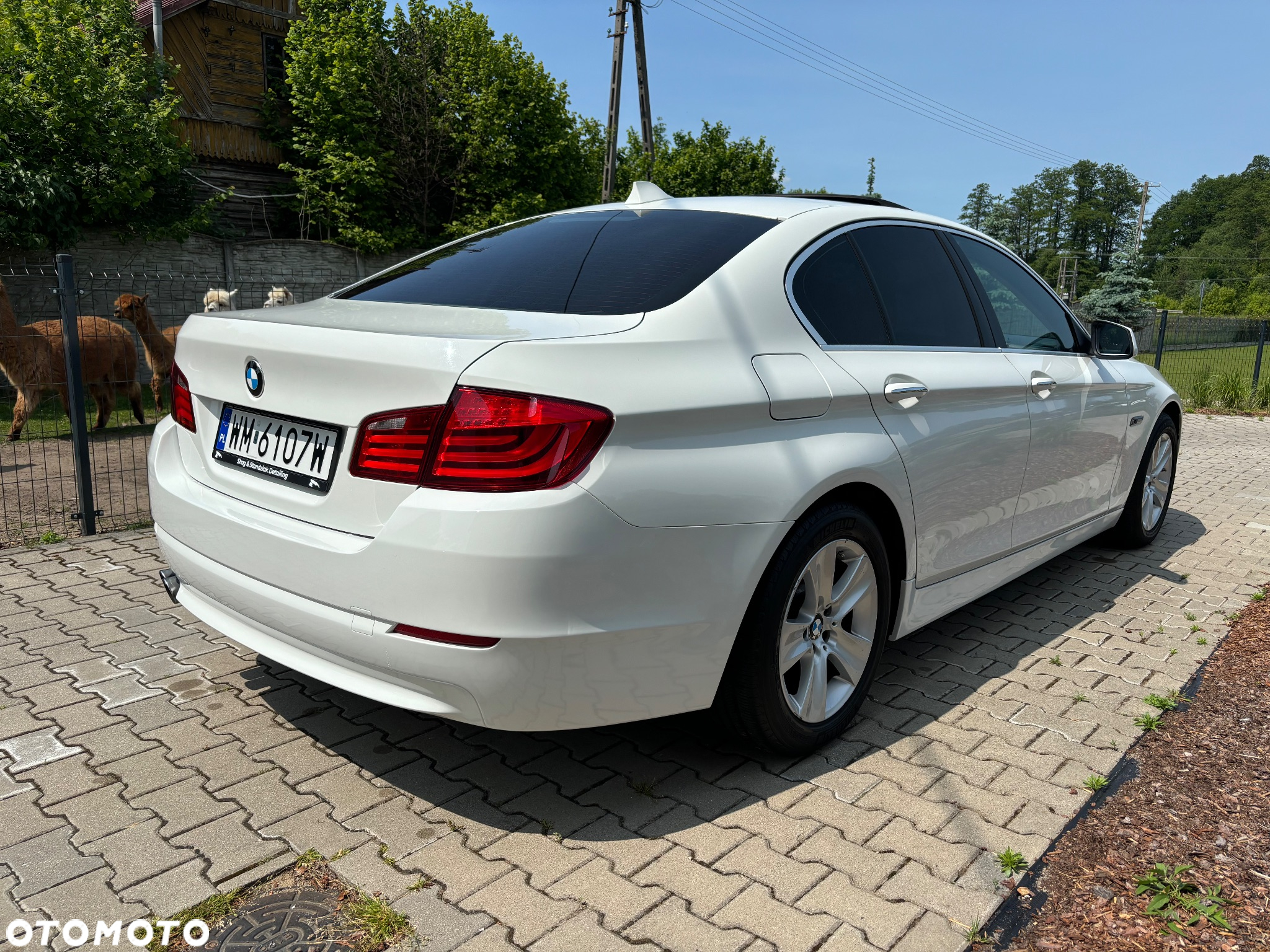 BMW Seria 5 - 5