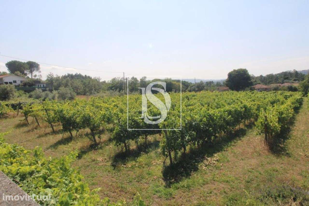 Terreno  Venda em Salvador do Monte,Amarante - Grande imagem: 5/10