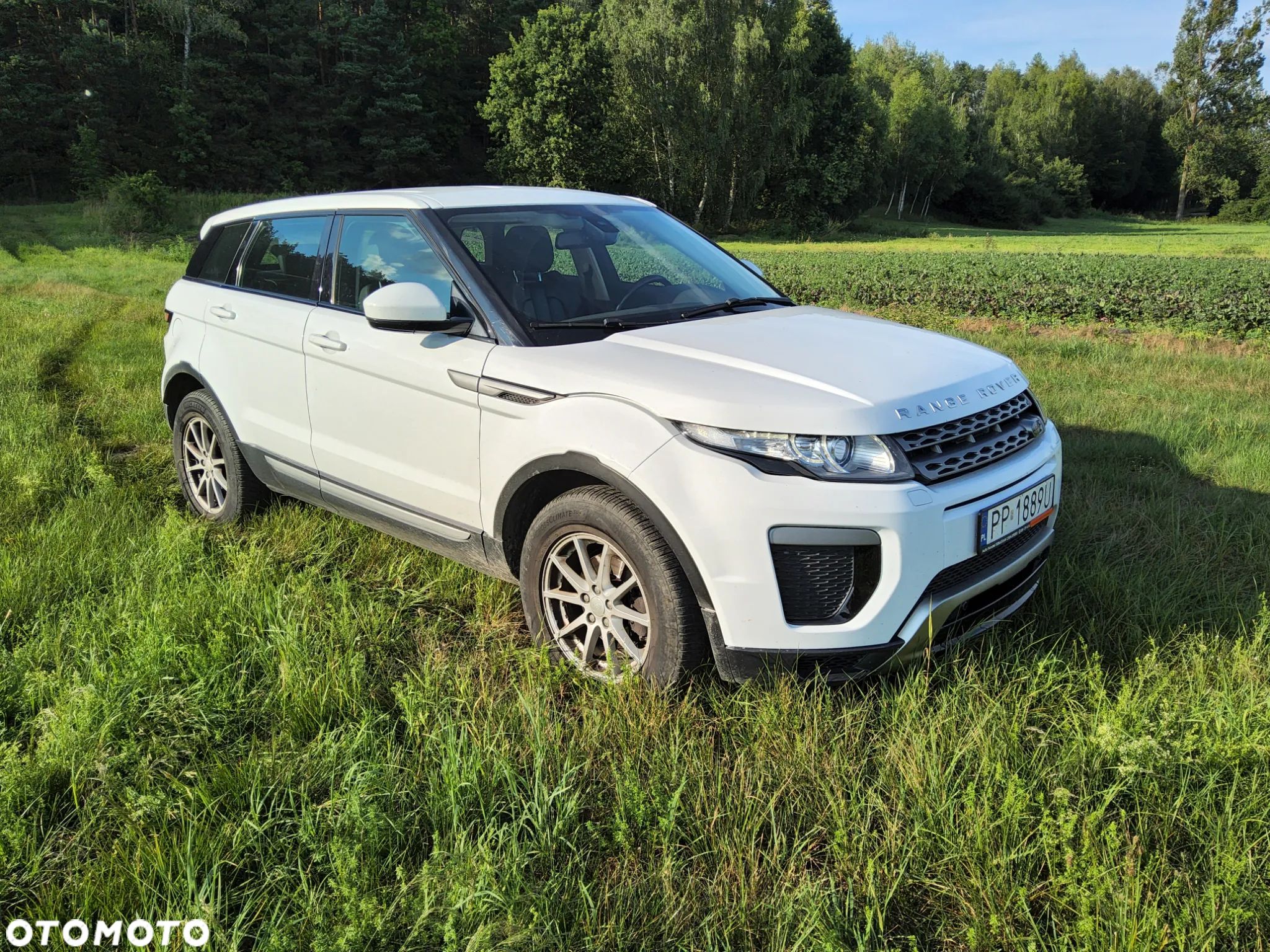 Land Rover Range Rover Evoque 2.2TD4 Prestige - 1
