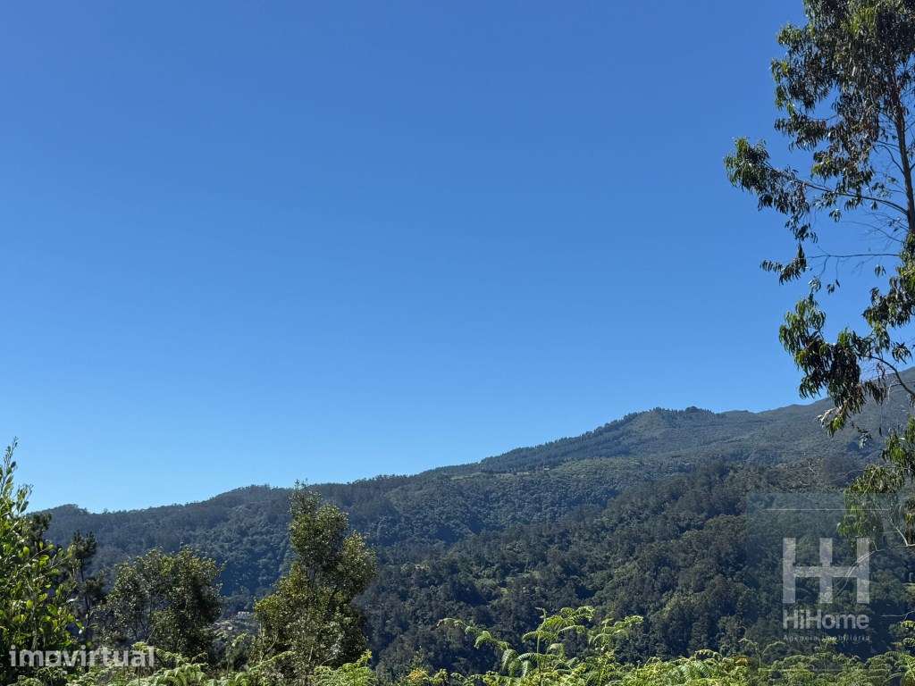 Terreno com 2.100 m² para construção em São Jorge - Grande imagem: 5/9