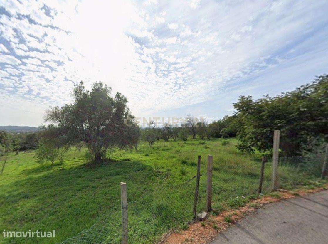 Exclusivo Terreno com 6.320m² em Silves – Natureza, Privacidade e Pote - Grande imagem: 4/9