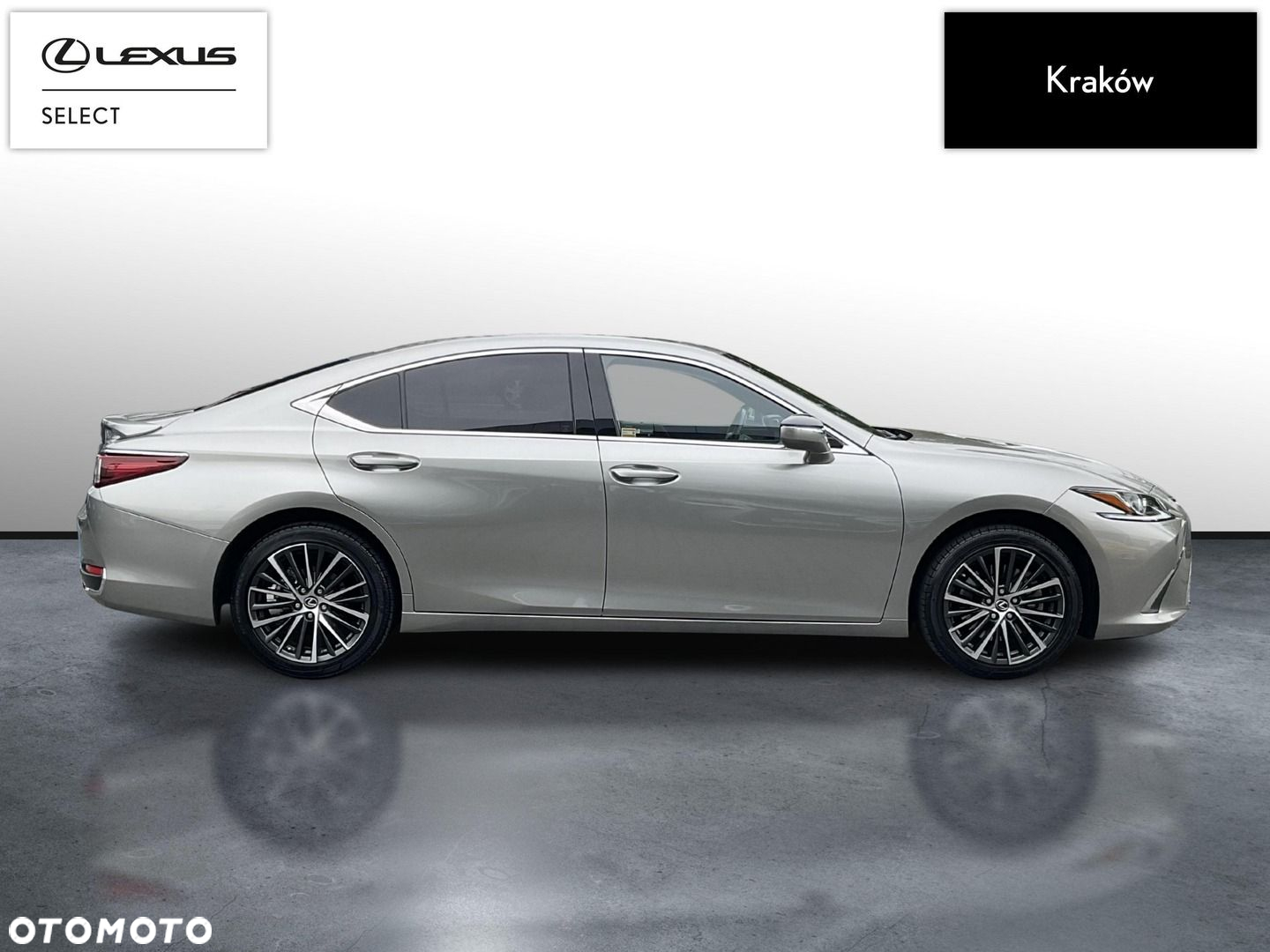 Lexus ES 300h Business Edition - 6