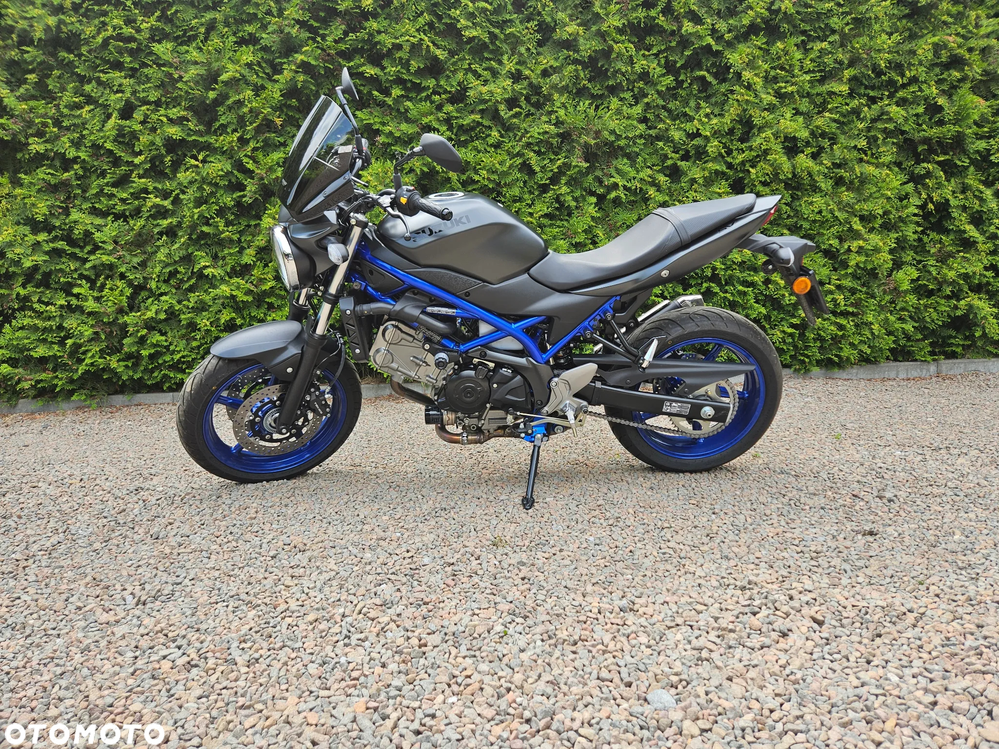 Suzuki SV - 2