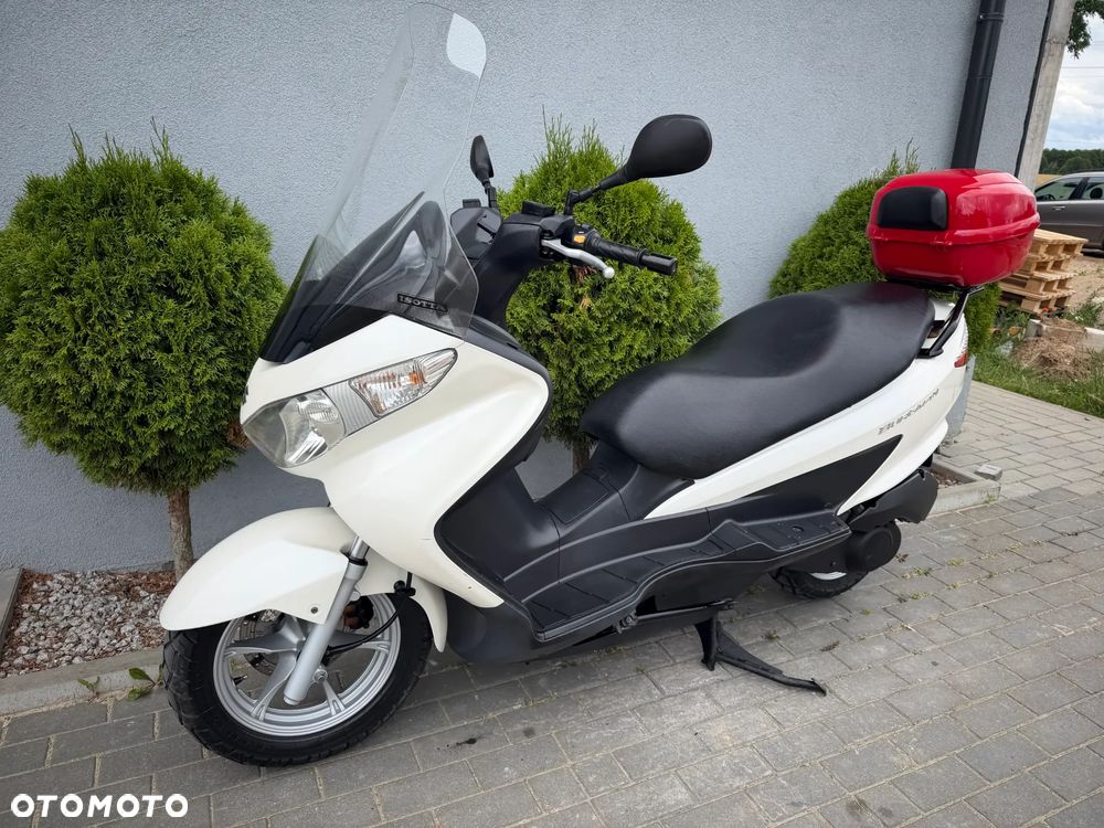 Suzuki Burgman - 7