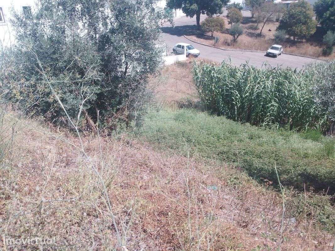 Terreno  para venda - Grande imagem: 5/8