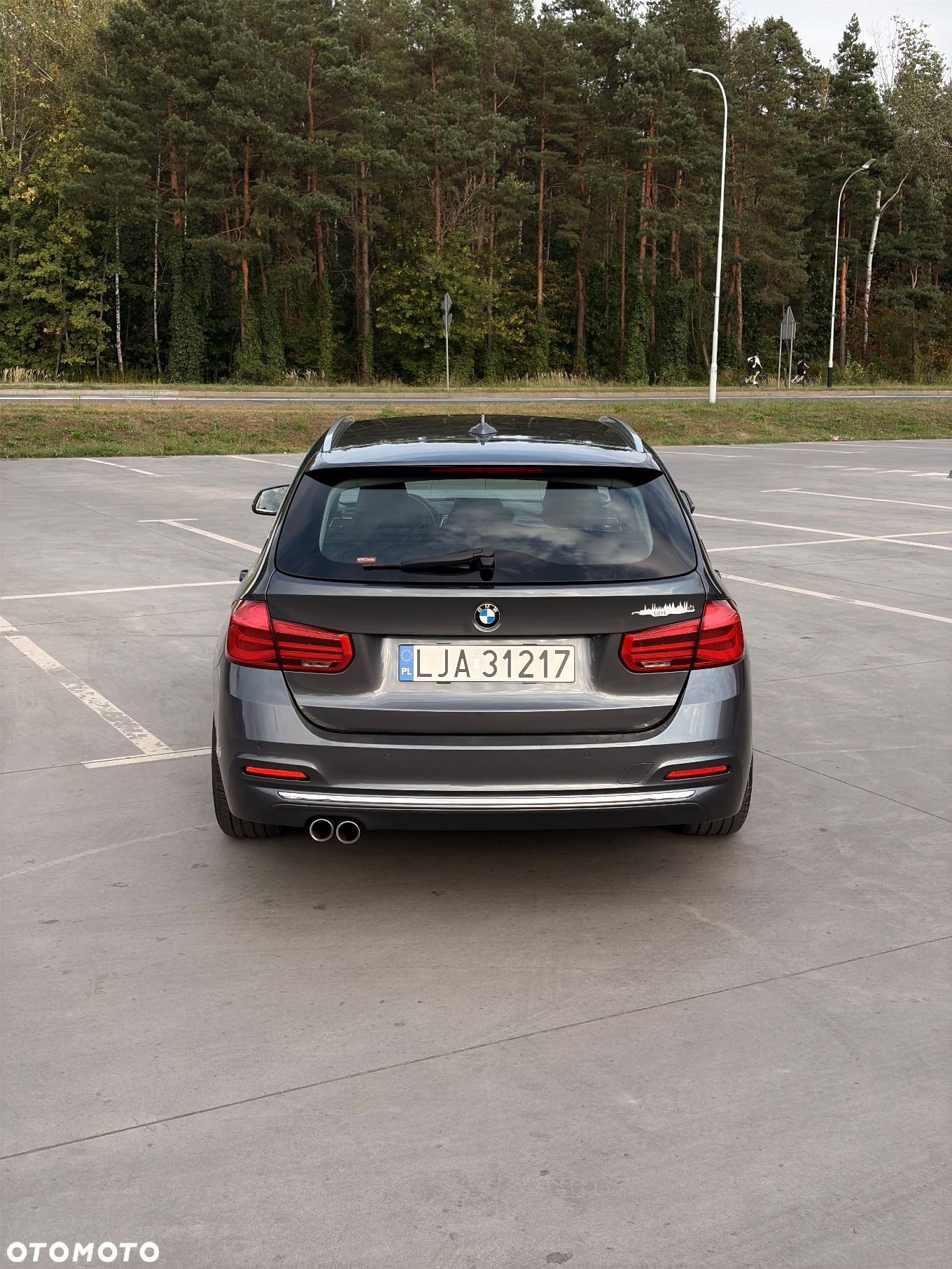 BMW Seria 3 320d Luxury Line - 7