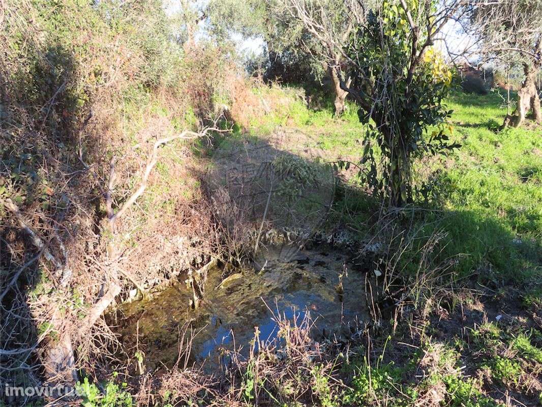 Quinta T0 para venda - Grande imagem: 5/36