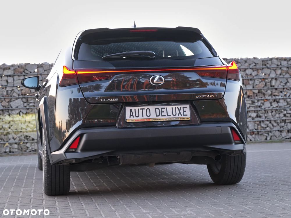 Lexus UX 250h GPF Elegance 2WD - 15