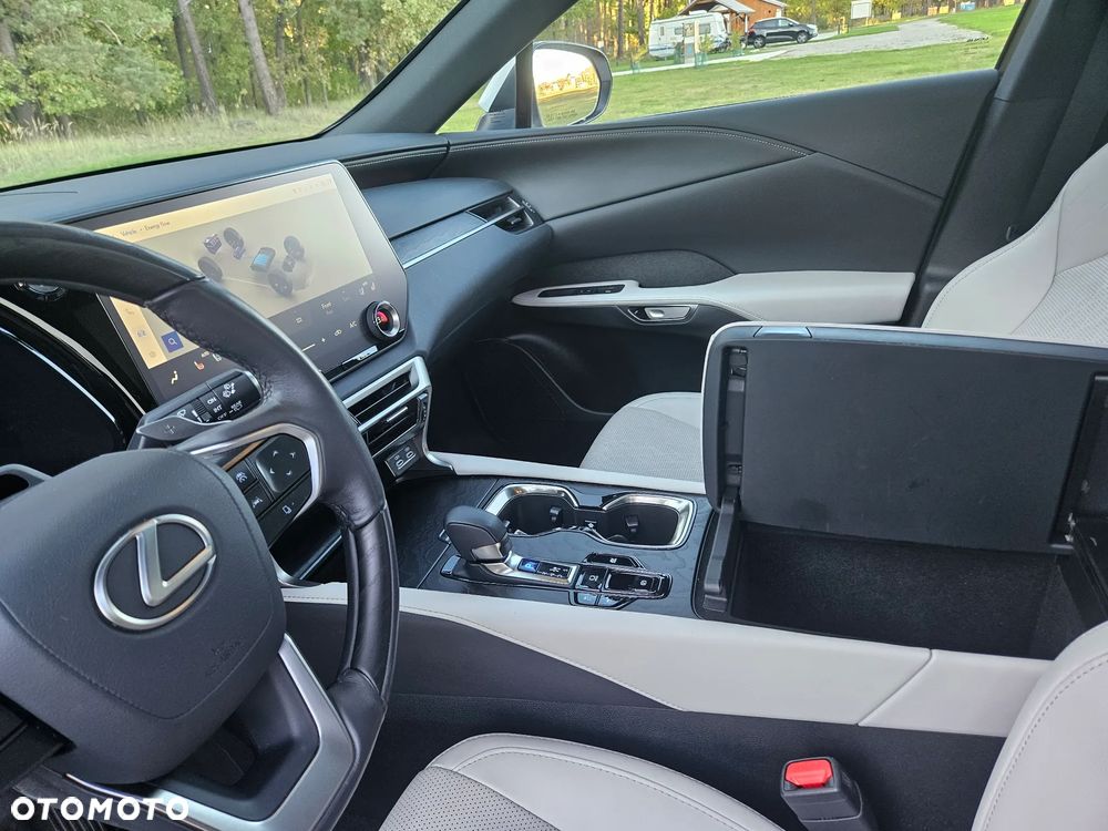Lexus RX - 20