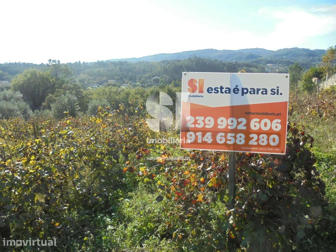 Terreno para construção em Vila Nova de Poiares - Grande imagem: 3/12