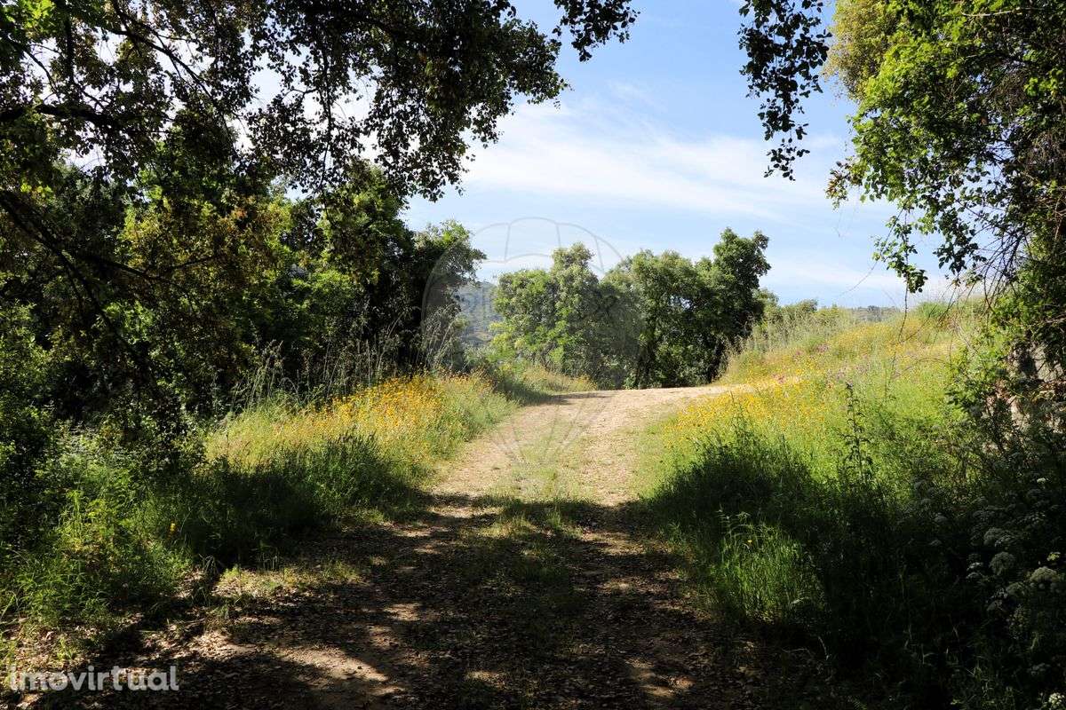 Terreno  para venda - Grande imagem: 3/5