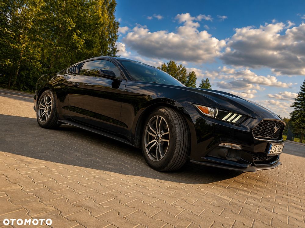 Ford Mustang - 15