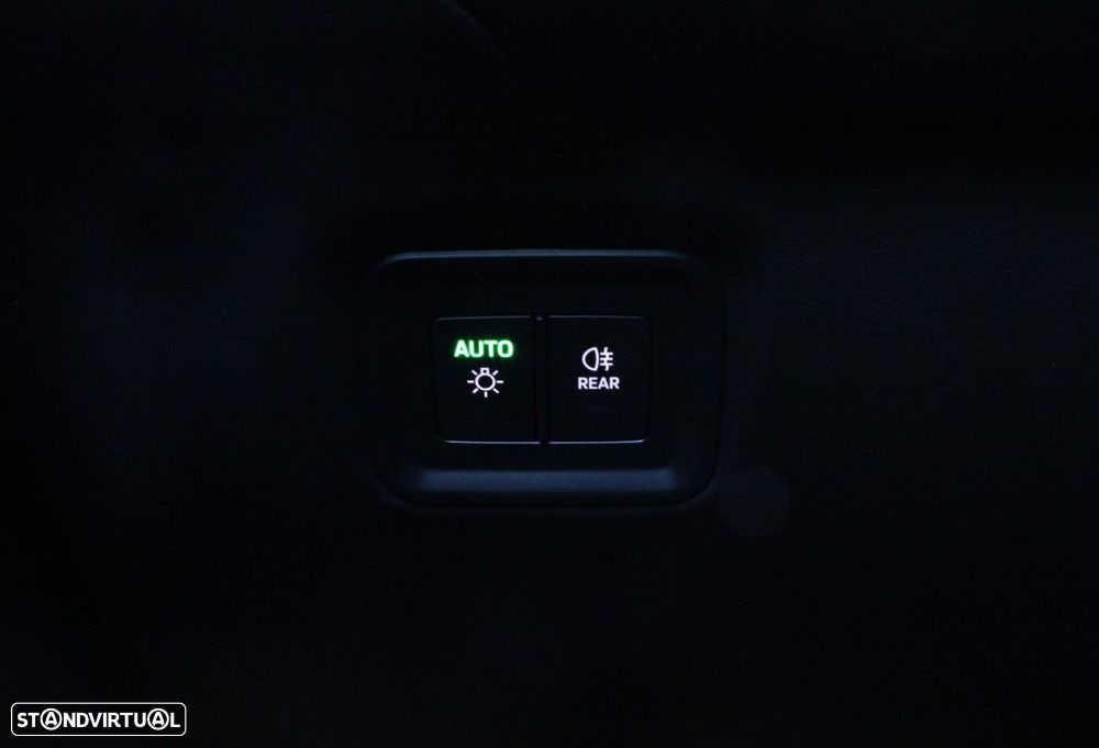 Porsche Cayenne S E-Hybrid Black Edition - 21