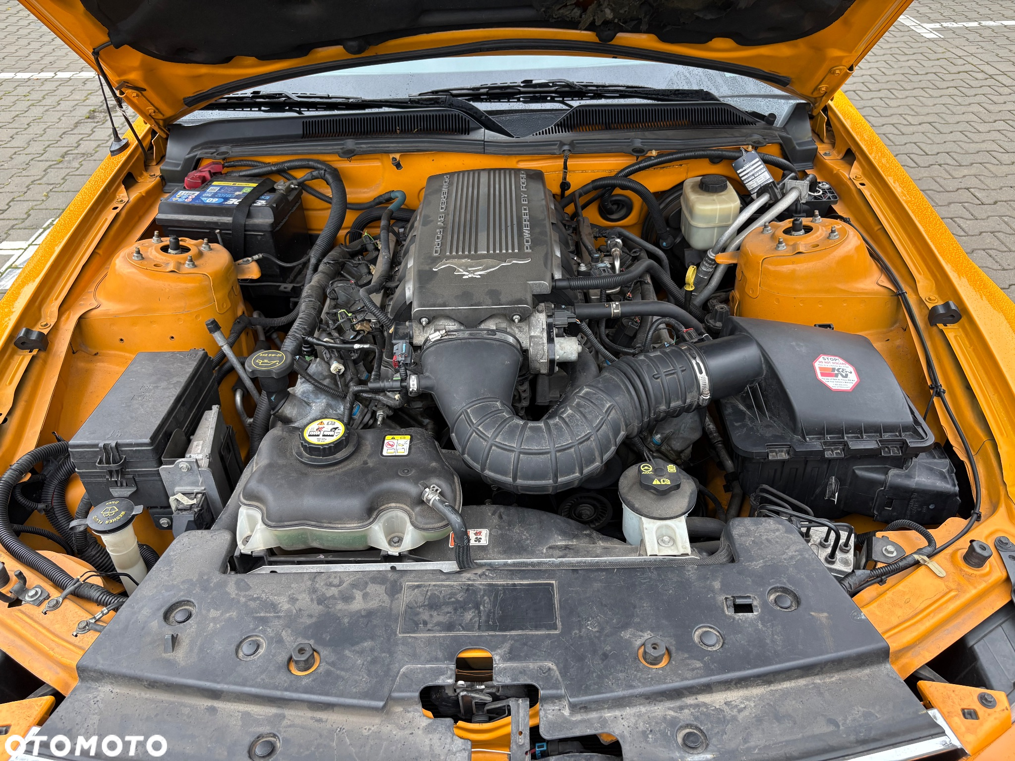 Ford Mustang - 19