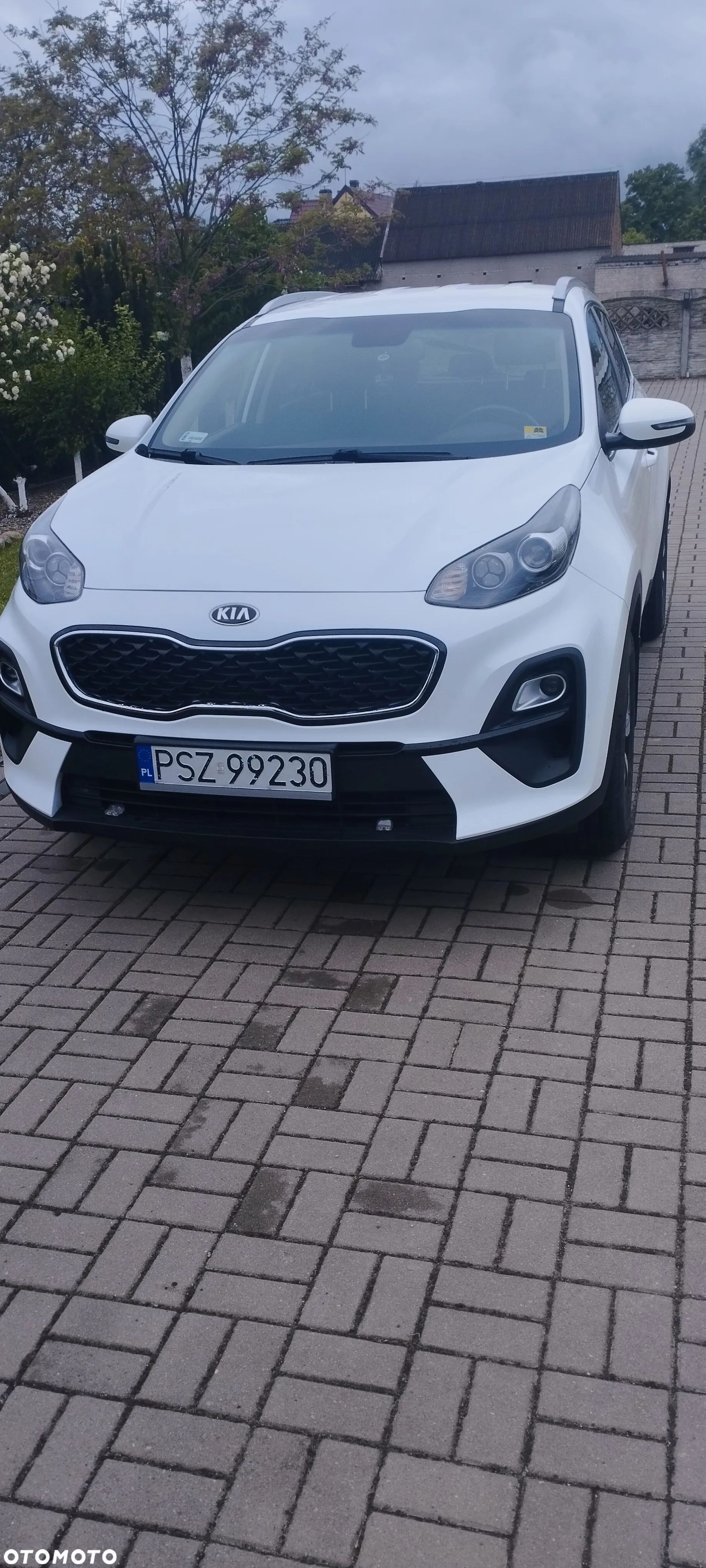 Kia Sportage - 1