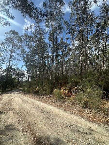 Bouça a 5€ m2 com 8.901m2 em Eiriz - Paços de Ferreira - Grande imagem: 5/8