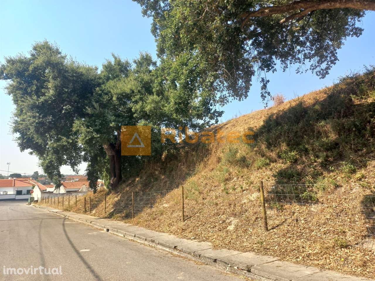 Terreno em Coruche com viabilidade de loteamento - Grande imagem: 3/6