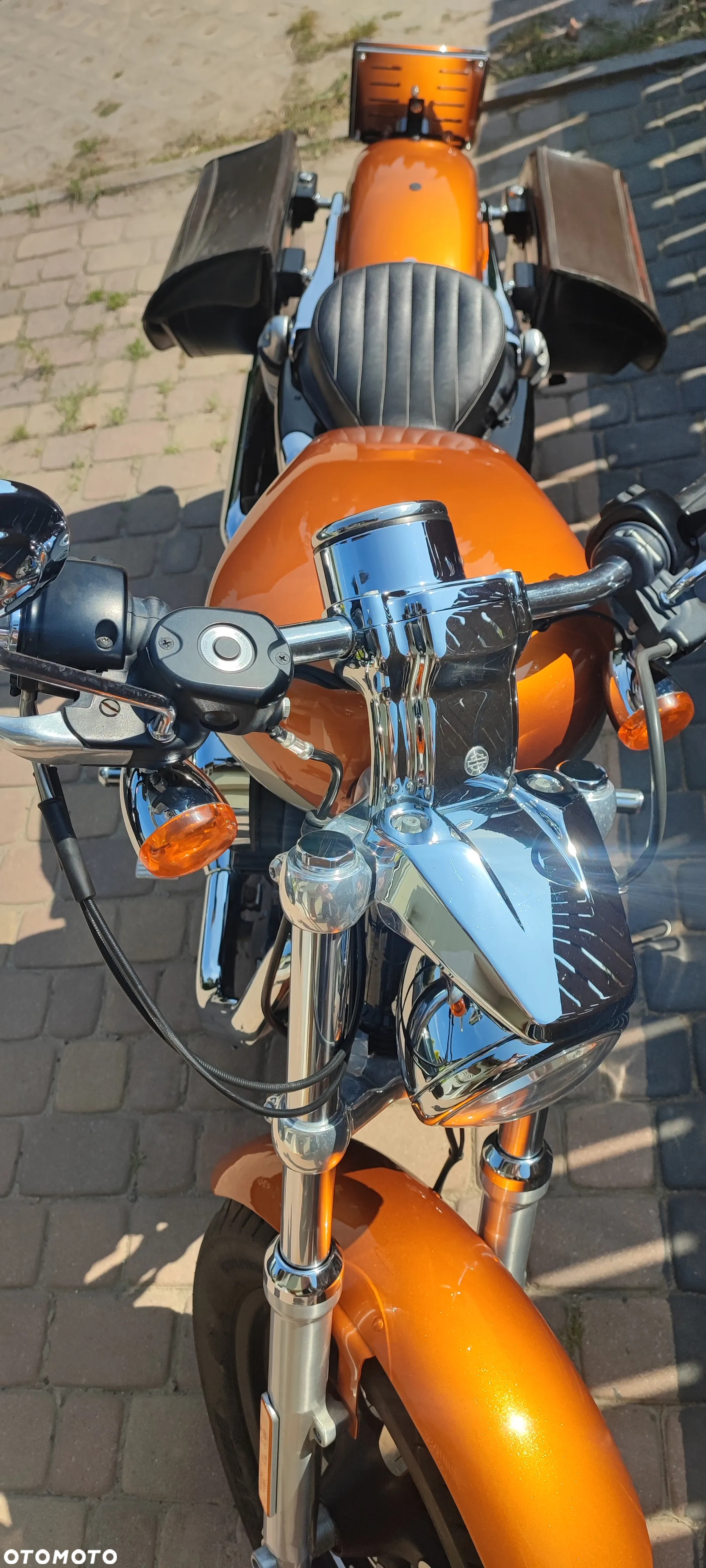 Harley-Davidson Sportster Custom 1200C - 2