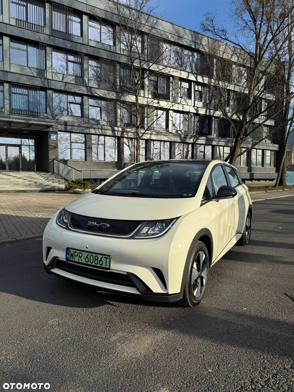 BYD Dolphin Active - 7