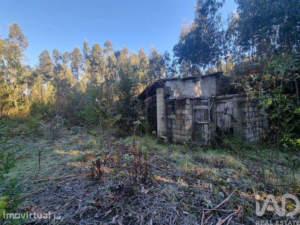 Terreno Agrícola em Mortágua, Vale de Remígio, Cortegaça e Almaça - Grande imagem: 5/7