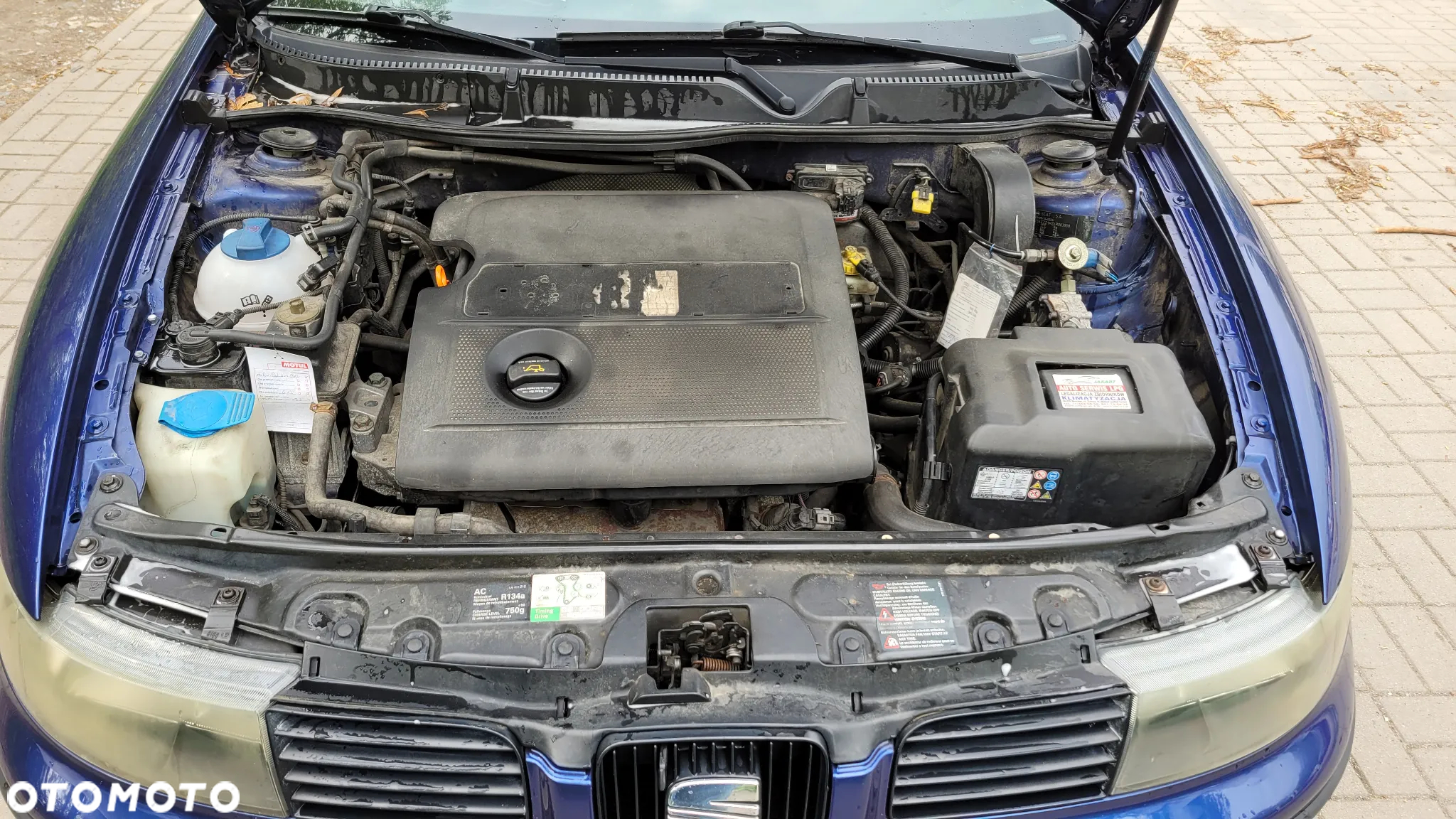 Seat Leon - 8