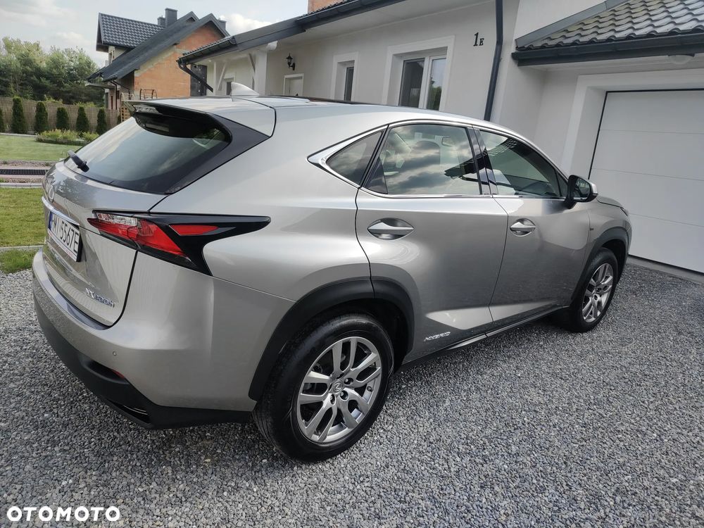 Lexus NX 300h E-FOUR Executive-Line - 7