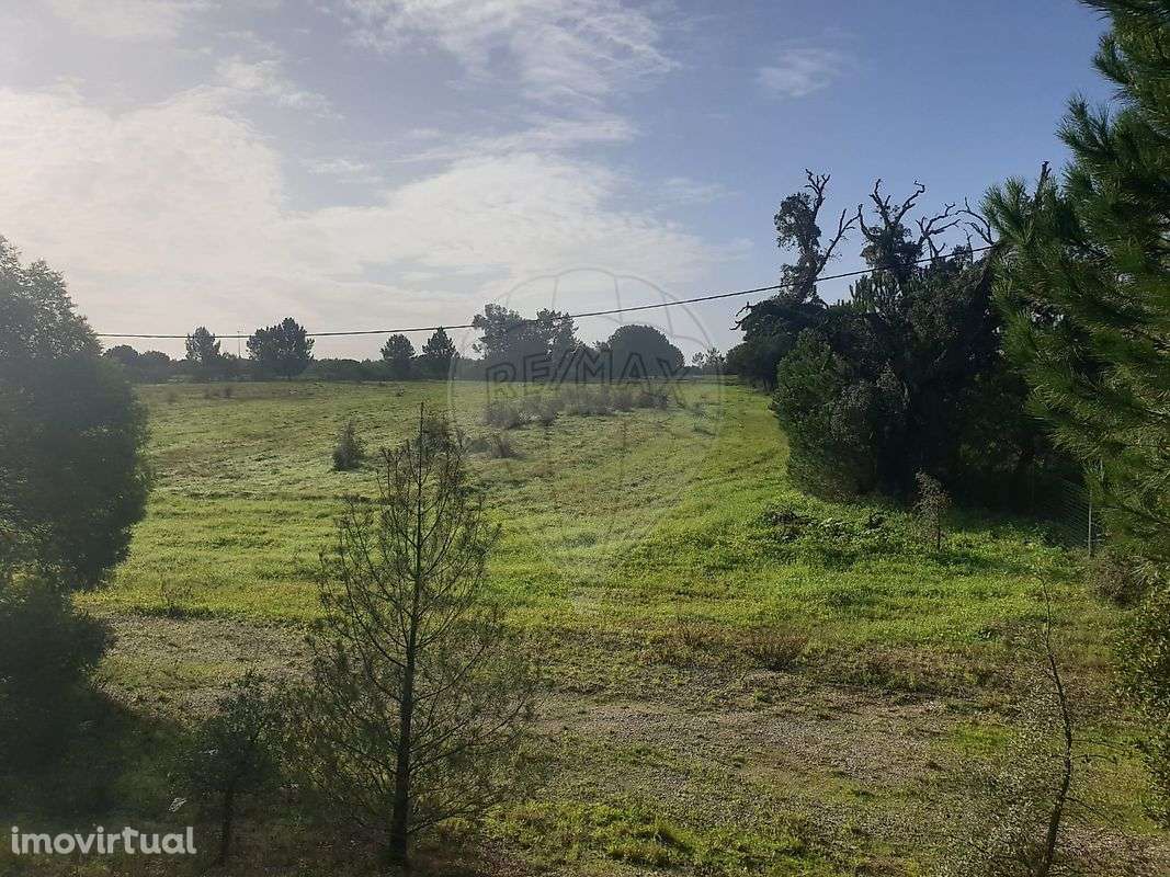 Terreno  para venda - Grande imagem: 2/3