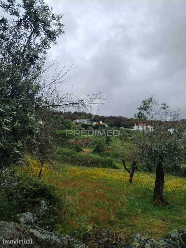 Terreno com Vista Deslumbrante nas Carreiras – Portalegre - Grande imagem: 3/3