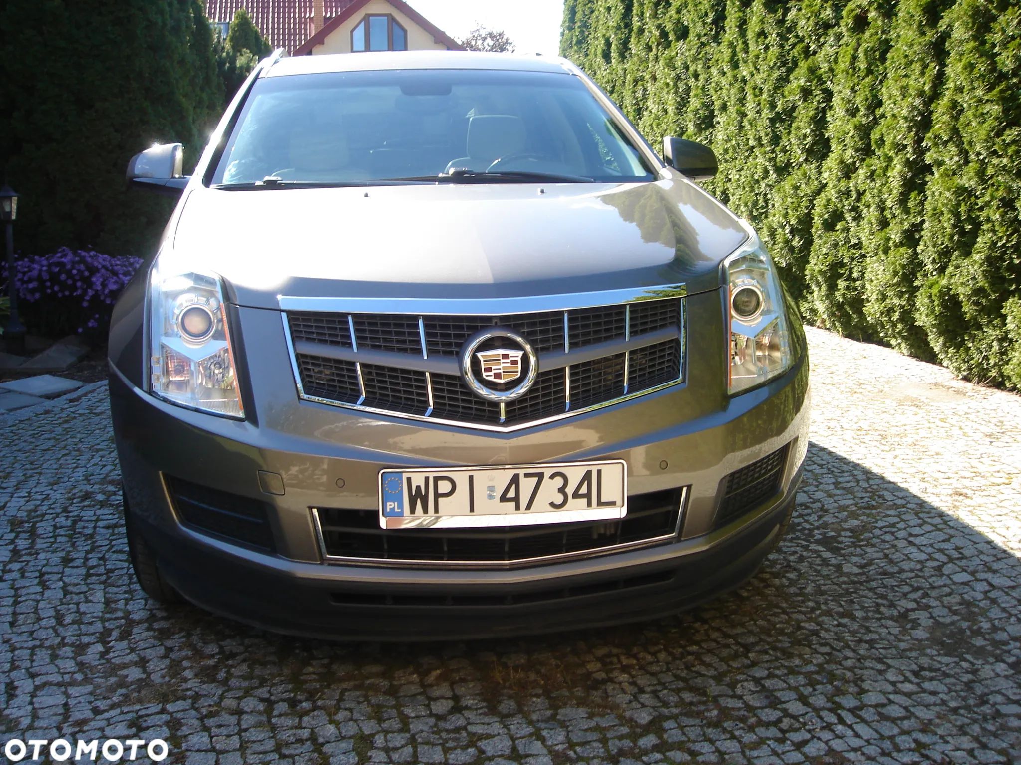 Cadillac SRX 3.6 V6 AWD Sport Luxury - 1