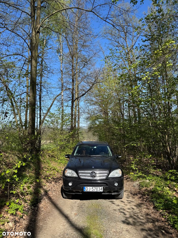 Mercedes-Benz ML - 39