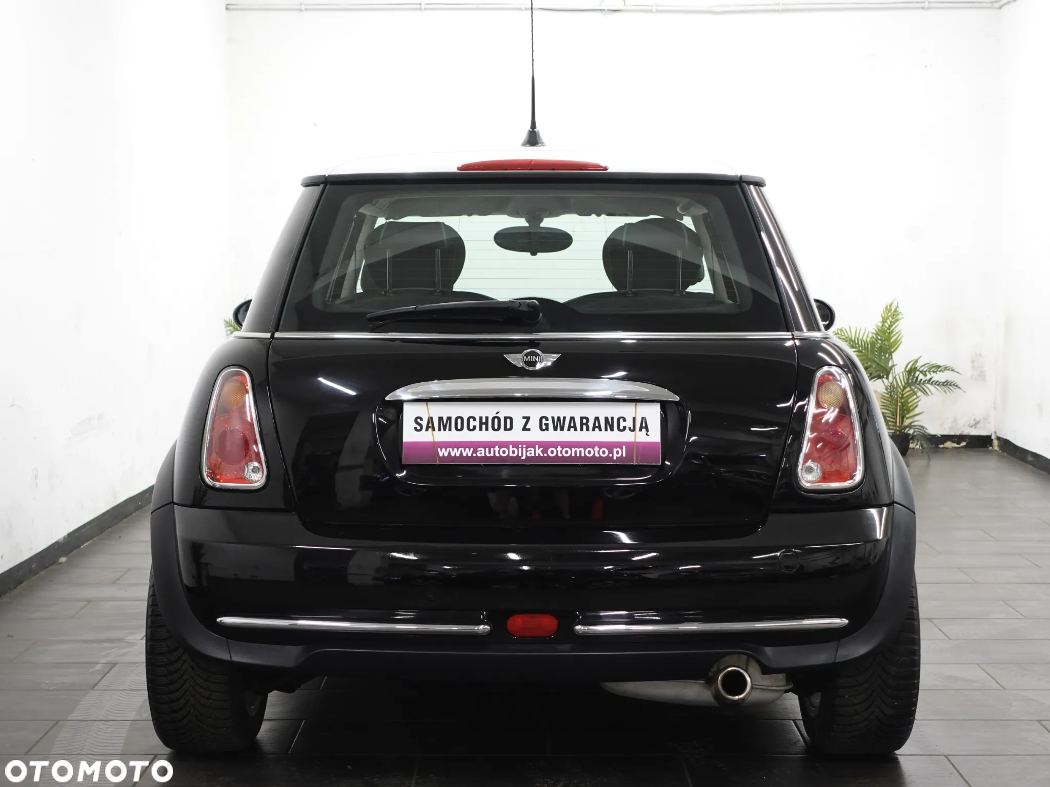 MINI Cooper pepper - 7