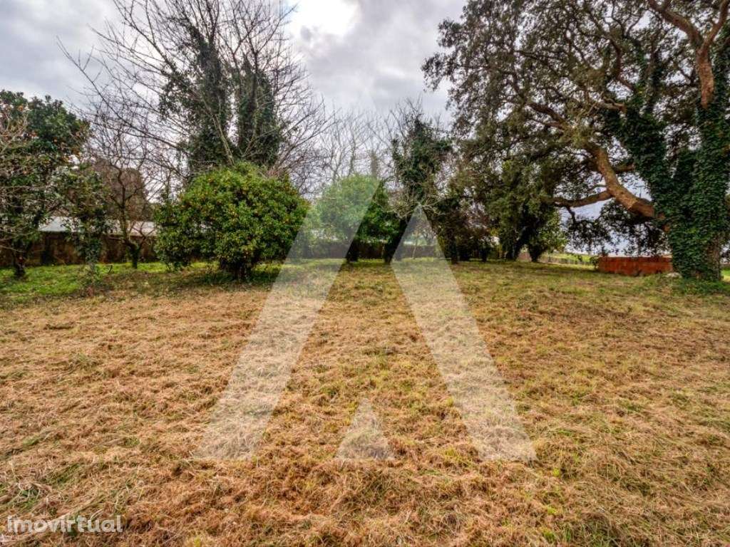 Lote de Terreno para construção de moradia na Sra. Do Monte - Salreu - Grande imagem: 2/12