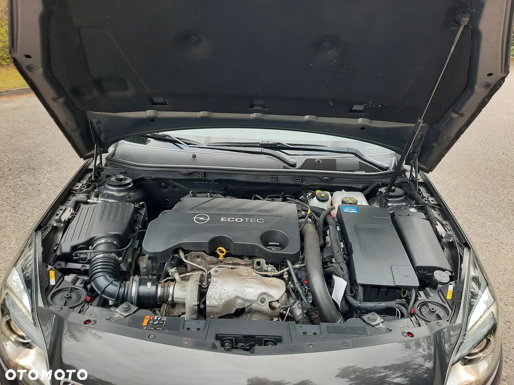 Opel Insignia 2.0 CDTI Executive S&S - 28