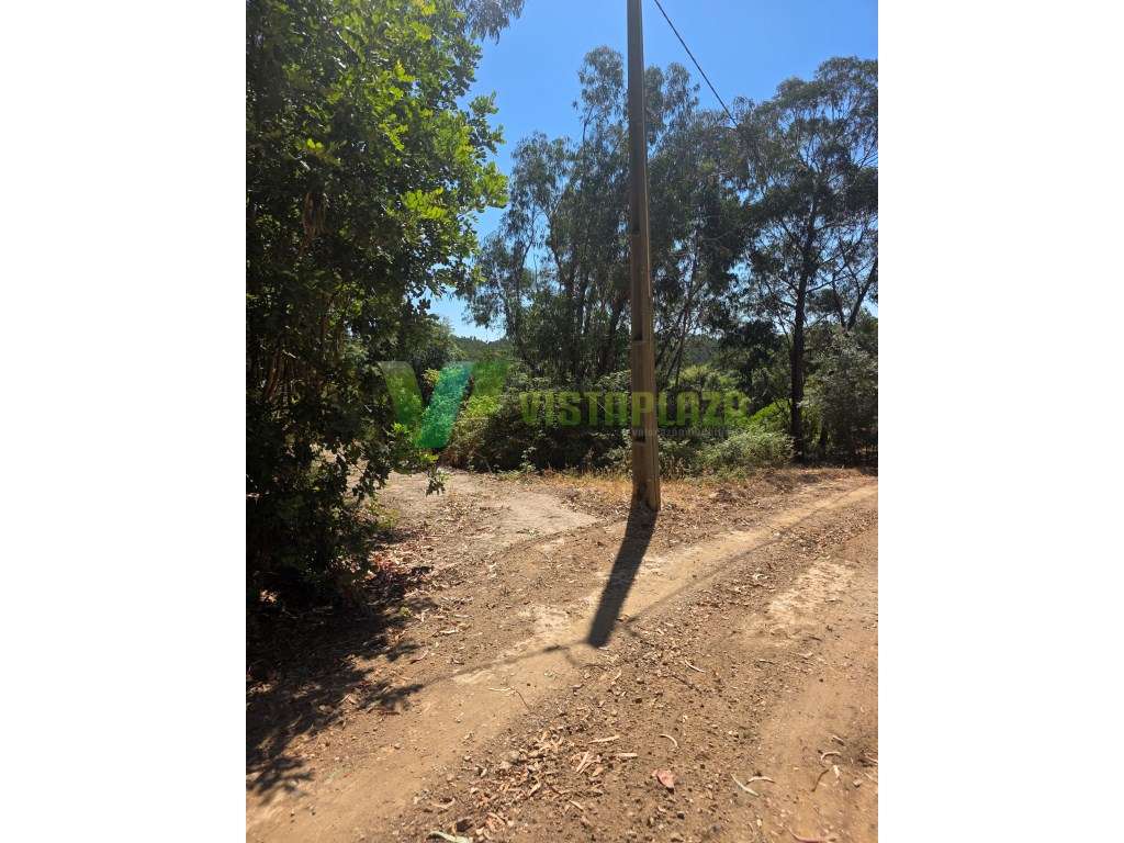 Terreno Misto, com Ruína, Monchique, Algarve - Grande imagem: 2/17