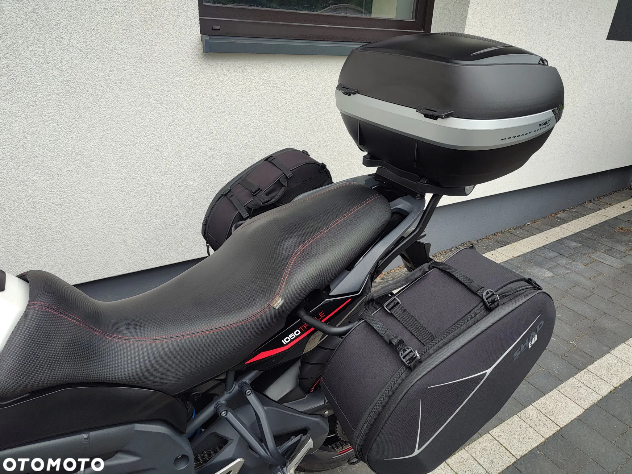 Triumph Tiger - 11