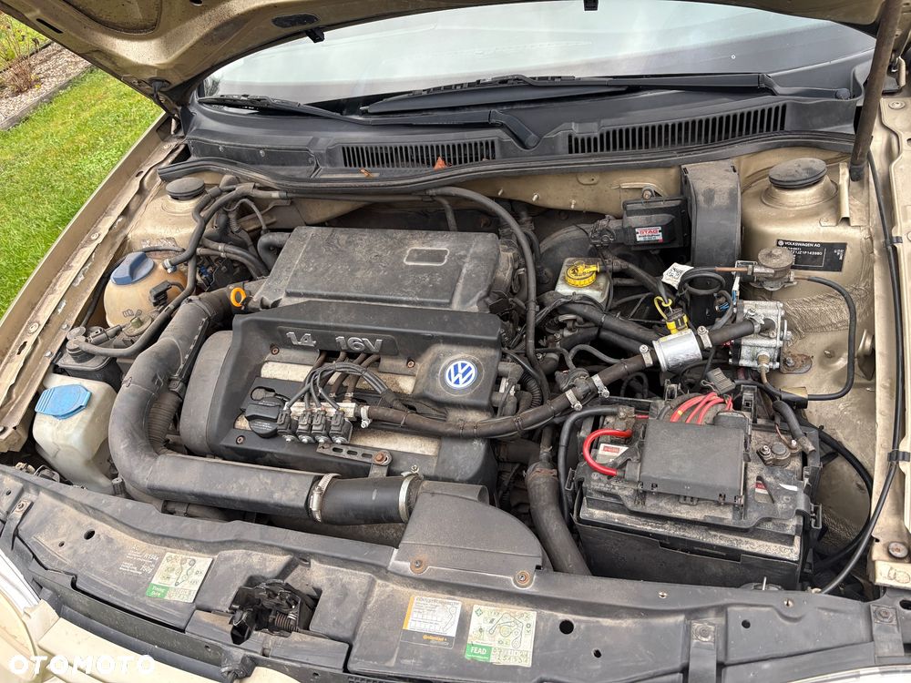 Volkswagen Golf - 15